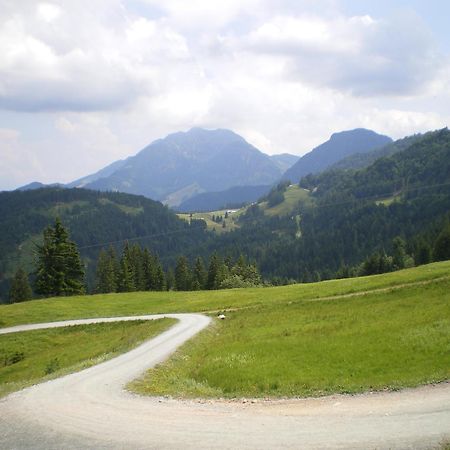 Appartement Fischer Sankt Johann in Tirol Buitenkant foto